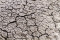 Pattern of cracks in dried mud Royalty Free Stock Photo