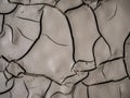 Textured surface of cracks in the mud Royalty Free Stock Photo