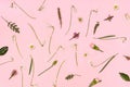 Pattern created from fresh natural snowdrops, leaves and other spring flowers. Top vies on pastel pink background