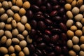 A pattern created by perfectly connecting various types of beans