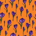 Pattern with crocus Royalty Free Stock Photo