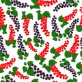 Seamless pattern with red and black currants