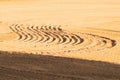 Pattern of curved ridges and furrows on a sandy field. traces on the sand