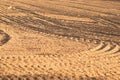 Pattern of curved ridges and furrows on a sandy field. traces on the sand Royalty Free Stock Photo