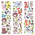 Pattern with cute forest and jungle animals. Fox, tiger, lion, zebra, bear, bird, parrot, snake, squirrel, elephant Royalty Free Stock Photo