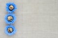 Pattern of decorated quail eggs in the form of blue flowers on a background of natural linen fabric. Children`s creativity, craft