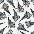 Pattern of the decorative feathers Royalty Free Stock Photo