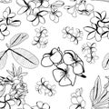 Pattern of decortive plumeria flower and leaves, frangipani