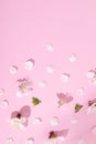 Pattern with delicate petals of cherry blossoms on a pink background. Beautiful spring vertical creative background
