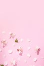 Pattern with delicate petals of cherry blossoms on a pink background. Spring vertical creative background