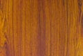 Pattern detail of teak wood texture Royalty Free Stock Photo