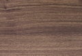 Pattern detail of teak wood texture