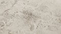 Pattern developed of small crabs holes on beach sand, house of crab Royalty Free Stock Photo