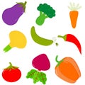 The pattern of different fresh vegetables on white background. Vector flat illustration isolated on white background. Royalty Free Stock Photo