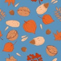 Pattern of different nuts, leaves, ashberry and physalis
