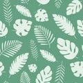 Pattern with different palm leaves on a green background