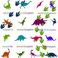 Pattern with dinosaurs illustration tyrannosaurus vector silhouette cartoon design