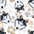 Pattern Dog paws Husky