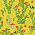 Pattern with doodle cactus