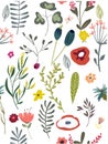 Pattern with doodle flowers Royalty Free Stock Photo