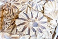 Pattern of Dried fish