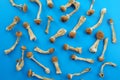 Pattern of dried psilocybin mushrooms on bright blue background.