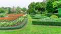 Pattern of English formal garden style, gardens with geometric shape of bush and shrub, decoration with colorful flowering plant