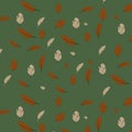 pattern feathers on the green background design