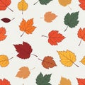 Pattern features various autumn leaves scattered across a light background Royalty Free Stock Photo