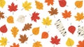 Pattern featuring various stylized autumn leaves including maple Royalty Free Stock Photo