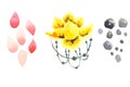 Pattern with flower and stones. `Yoga` theme