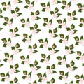 Pattern with flowering tree branches on green background. Endless texture decoration with white flowers and flying