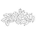 Pattern of flowers and leaves of plants from the contour black brush lines different thickness on white background. Vector Royalty Free Stock Photo