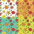 4 pattern of flowers and petals