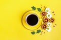 Pattern of flowers of red and white asters, green leaves and a cup of hot coffee Americano on yellow background Royalty Free Stock Photo