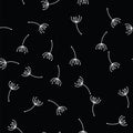 Pattern with flying dandelion seeds or achenes on black background. Botanical flower parts for fabric print, wallpaper