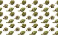 Pattern of Fresh artichokes isolated on a white background Royalty Free Stock Photo