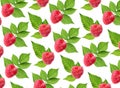 Pattern of fresh ripe raspberries and green leaves on background Royalty Free Stock Photo
