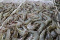 Pattern of fresh shrimps selling on a seafood counter in Jimbaran. Pasar Ikan Kedonganan - Bali beach. Fresh shrimp on the local