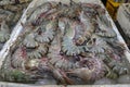 Pattern of fresh shrimps selling on a seafood counter in Jimbaran. Pasar Ikan Kedonganan - Bali beach. Fresh shrimp on the local