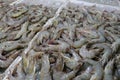 Pattern of fresh shrimps selling on a seafood counter in Jimbaran. Pasar Ikan Kedonganan - Bali beach. Fresh shrimp on the local