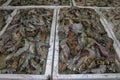 Pattern of fresh shrimps selling on a seafood counter in Jimbaran. Pasar Ikan Kedonganan - Bali beach. Fresh shrimp on the local