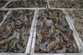 Pattern of fresh shrimps selling on a seafood counter in Jimbaran. Pasar Ikan Kedonganan - Bali beach. Fresh shrimp on the local