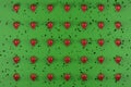 Pattern of fresh strawberries on green background