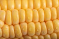 Pattern of fresh sweet corn Royalty Free Stock Photo