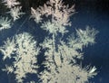 It is a pattern of frost on the glass of a window. White textured frosty crystal snowflake. Natural frost floral pattern with abst
