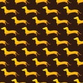 Pattern with golden dachshund