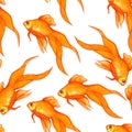 Pattern with goldfish on white background