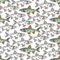 A pattern of graphic white fish with a contour and colored fish with a contour. Fish swim in different directions