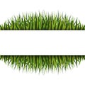 Pattern with grass frame. Vector illustration design. Nature background vector. Stock image Royalty Free Stock Photo